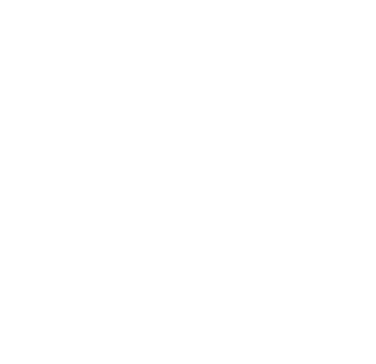 case-castro